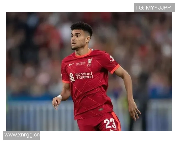 费迪南德分析加克波与迪亚斯的差距利物浦新援尚需时间融入球队