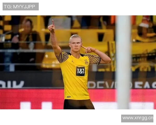 哈兰德回忆多特首月表现称其为职业生涯最佳时光 哈兰德回忆多特首月表现称其为职业生涯最佳时光