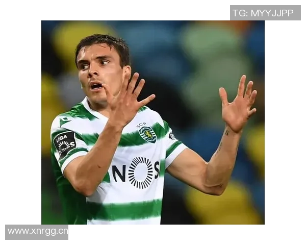 帕利尼亚坚定信心希望葡萄牙早日晋级我随时准备上场助力球队 帕利尼亚坚定信心希望葡萄牙早日晋级我随时准备上场助力球队